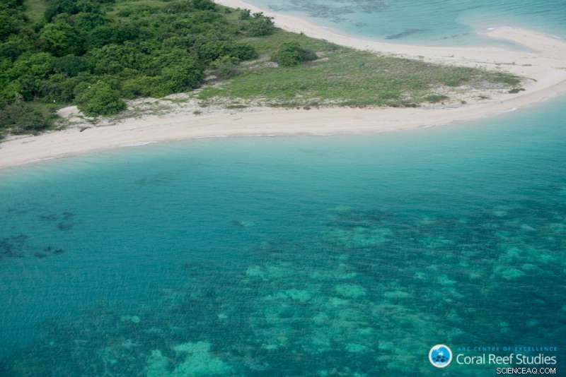 Urgent: The Time to Save the World’s Coral Reefs Is Rapidly Closing