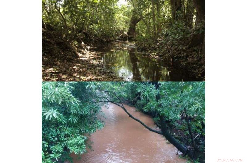 Scientists Empower Costa Rican Community to Sustain Water Supply