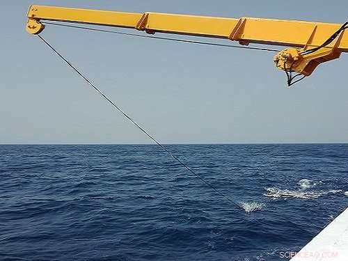 Red Sea Surface Trawl Confirms Minimal Floating Plastic Pollution