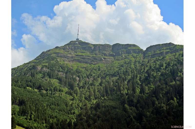 Tracing Alpine Landscape Evolution Through Sedimentary Rock Records