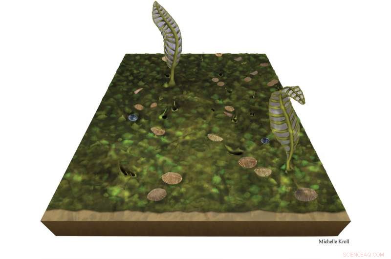 Pond Scum Reveals How the First Animals Evolved