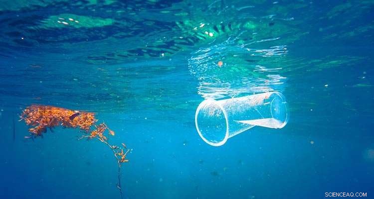 Charting a Path to Plastic‑Free Oceans