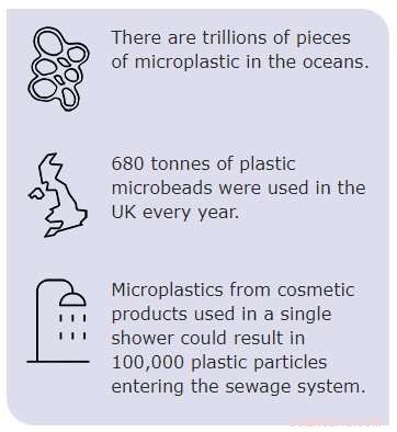 Charting a Path to Plastic‑Free Oceans