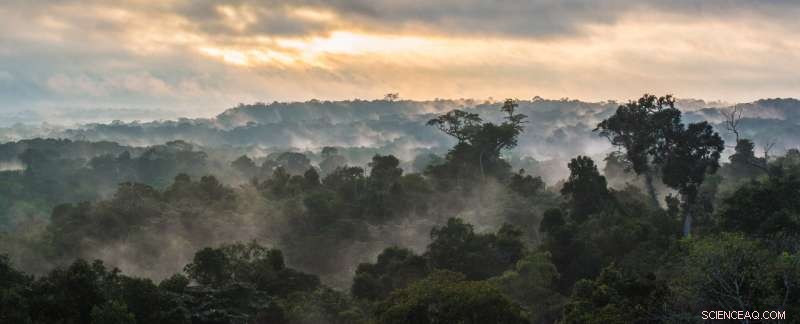 Amazon Biodiversity Hotspot Faces Greater Losses as Controversial Road Bill Passes