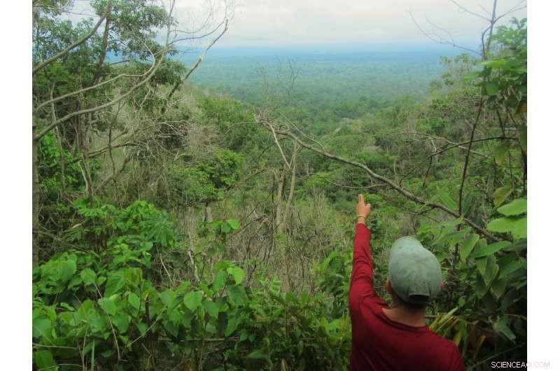 Amazon Biodiversity Hotspot Faces Greater Losses as Controversial Road Bill Passes