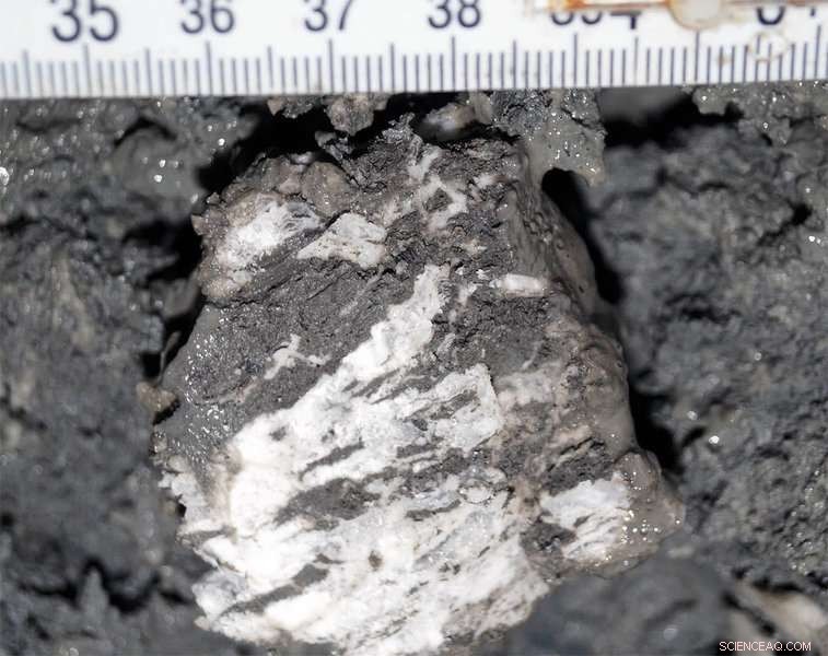 Arctic Methane Release Unlinked to Climate Change, New Study Finds