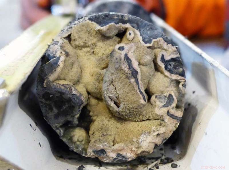 Arctic Methane Release Unlinked to Climate Change, New Study Finds