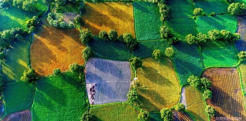 Climate Change Sparks Migration Crisis in Vietnam’s Mekong Delta