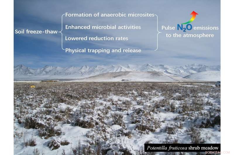 Alpine Meadows: Freeze‑Thaw Cycles Amplify Nitrous Oxide Emissions