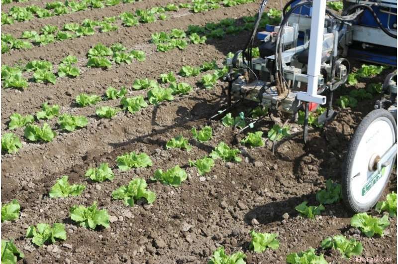 Robotic Weeders: Revolutionizing Farms Near You