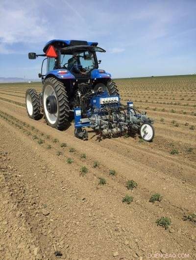 Robotic Weeders: Revolutionizing Farms Near You