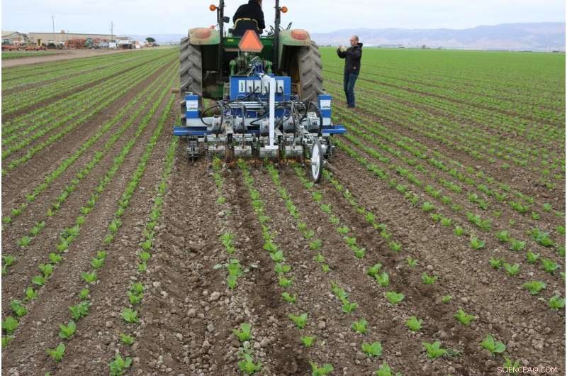Robotic Weeders: Revolutionizing Farms Near You