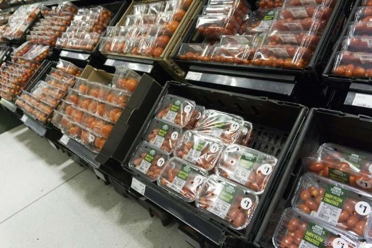 UK Sets 2042 Target to Eradicate Avoidable Plastic Waste