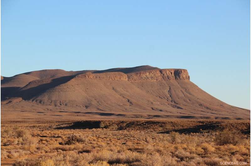 Scientists Uncover 8‑Meter Burrow Depths in Deep‑Sea Marine Fossils