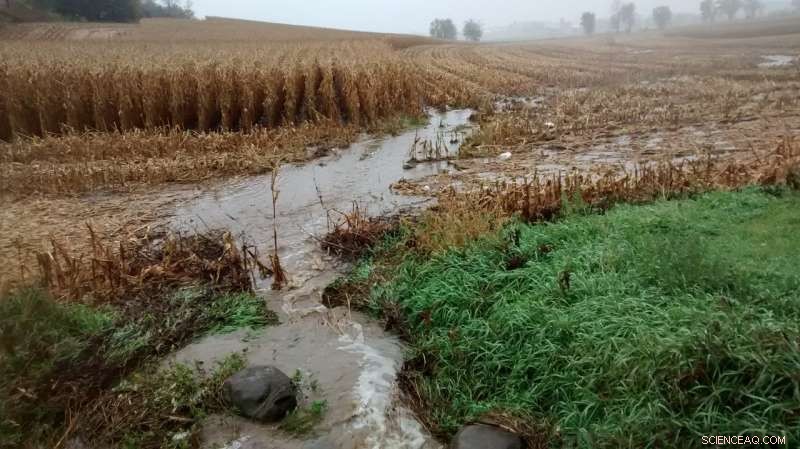 Linking Lake Phosphorus Levels to Extreme Rainfall Events