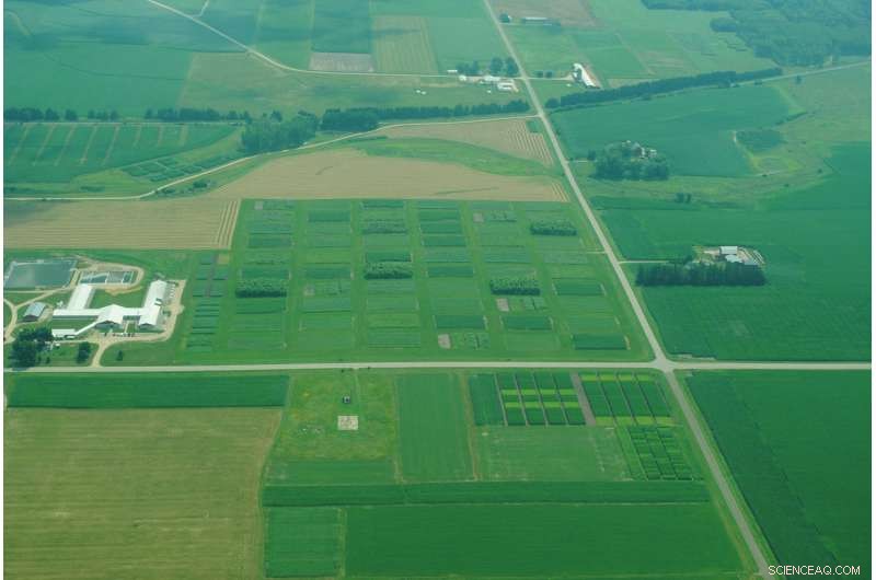 Linking Lake Phosphorus Levels to Extreme Rainfall Events