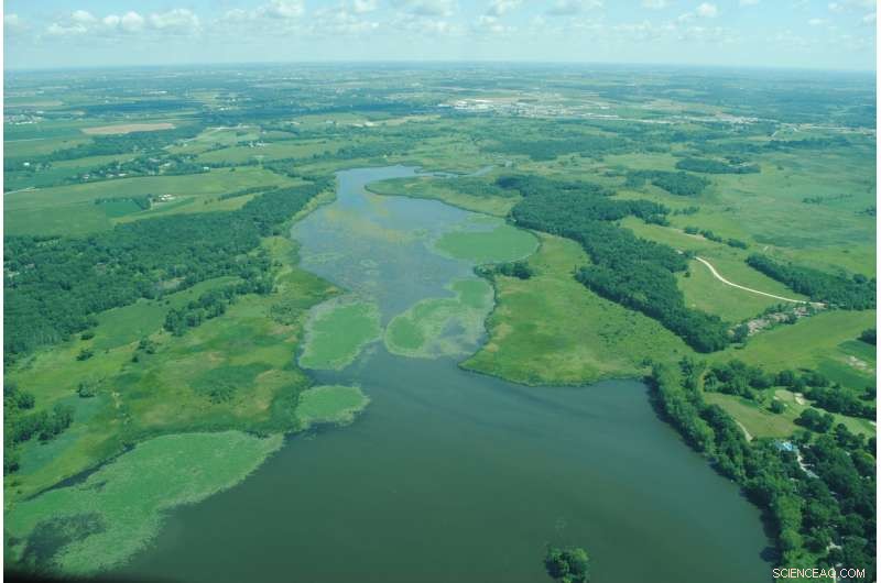 Linking Lake Phosphorus Levels to Extreme Rainfall Events