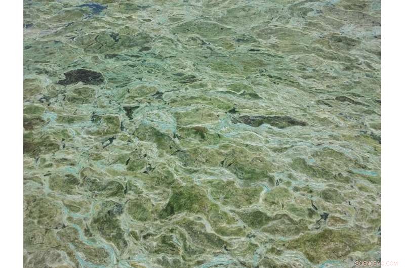 Linking Lake Phosphorus Levels to Extreme Rainfall Events