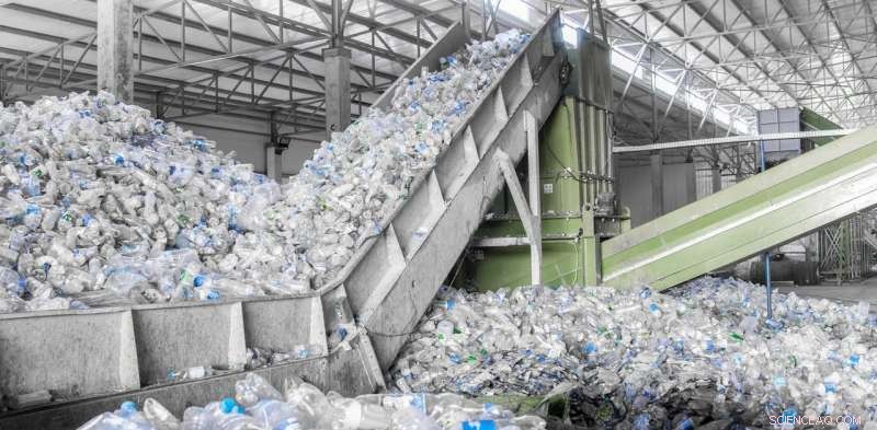 Four Powerful Actions to Tackle the Global Plastic Crisis