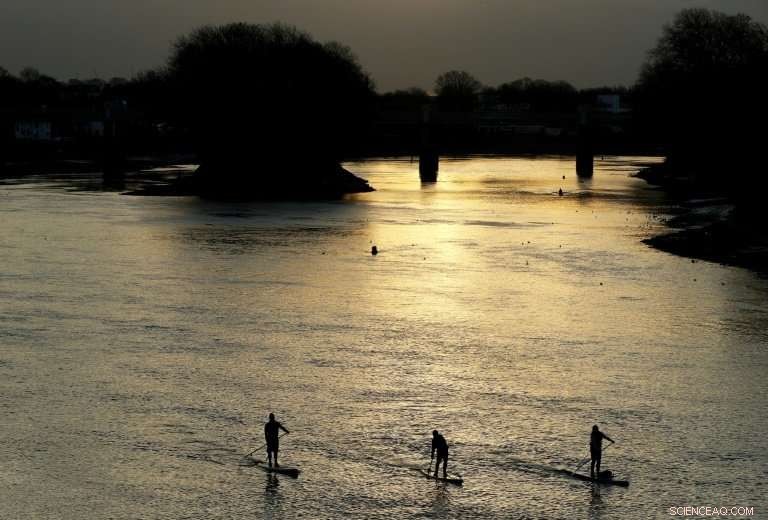 River Thames Paddle-Boarders Tackle Plastic, Clean Up Waters