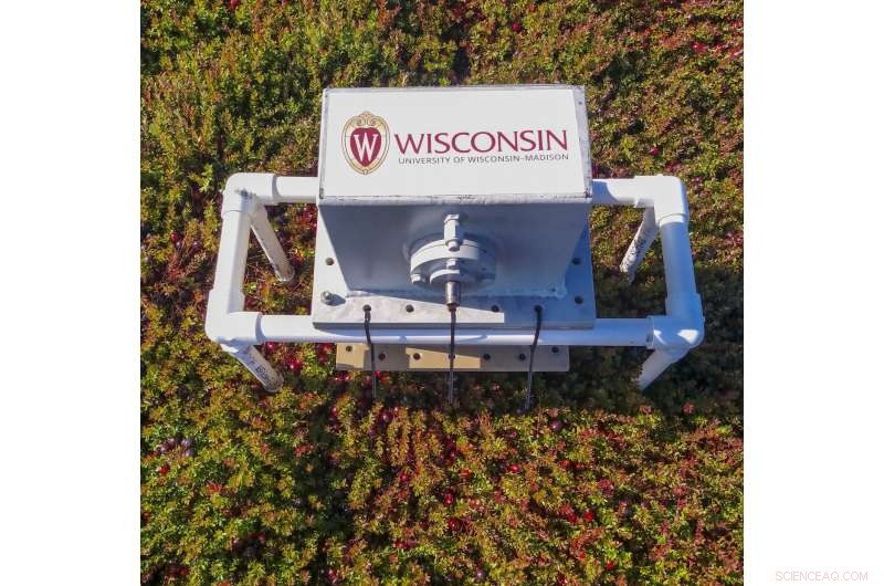 Radar Technology Transforms Cranberry Harvesting: Automated Counting for Precise Yield Estimates