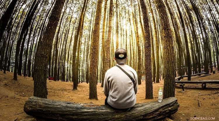 New Study Reveals How Climate Change Fuels Psychological Stress and Depression