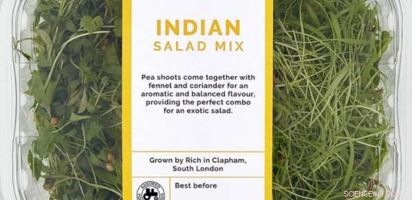 How Smart Monitoring Drives Success for an Urban Farm