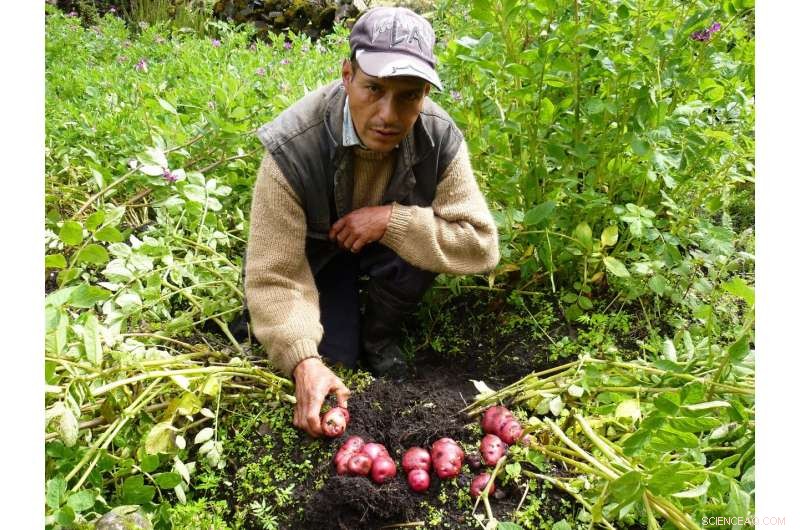 Simulating Climate Change: Impact on Rural Andean Crop Production