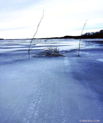 Alaska Winter Delayed: Rural Areas See Unusually Late Ice Formation