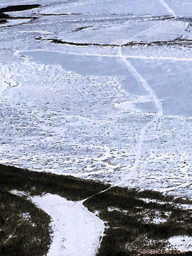 Alaska Winter Delayed: Rural Areas See Unusually Late Ice Formation