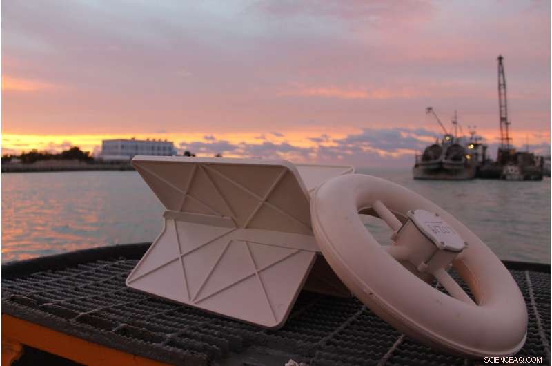 Gulf of Mexico Drifters Show How Flotsam Concentrates in Ocean Currents