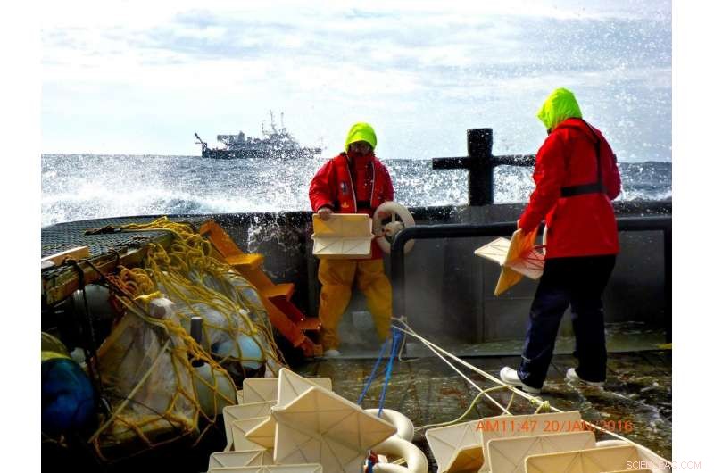 Gulf of Mexico Drifters Show How Flotsam Concentrates in Ocean Currents