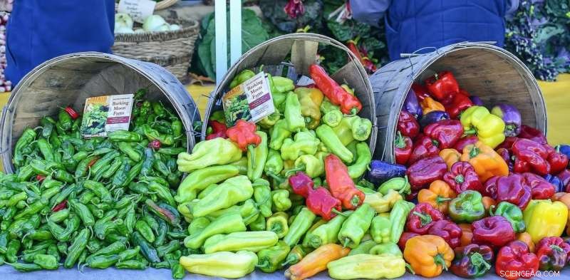 Eat Healthy, Live Green: Embrace an Eco-Friendly Diet