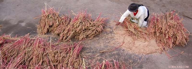 Nature Offers More Than Material Gains: Unlocking Cultural and Knowledge Value