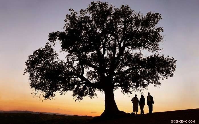 Nature Offers More Than Material Gains: Unlocking Cultural and Knowledge Value