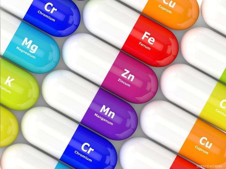 Breeding Super-Nutritious Crops: Scientists Drive Global Hunger Solutions