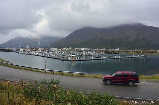 US Approves Land Exchange for Road Construction Through Alaska’s Izembek National Wildlife Refuge