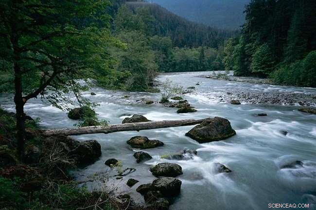 Elwha Dam Removal: Transforming the River s Mouth and Ecosystem