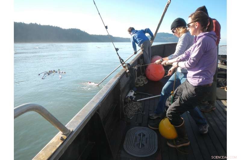 Elwha Dam Removal: Transforming the River s Mouth and Ecosystem