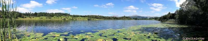 Combined Nutrient Loading and Climate Warming Amplify Lake Methane Emissions