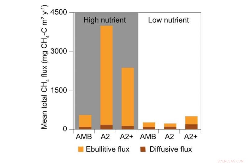 Combined Nutrient Loading and Climate Warming Amplify Lake Methane Emissions