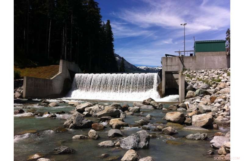 Global Rise of Small Hydroelectric Dams: Why Research and Regulation Lag Behind