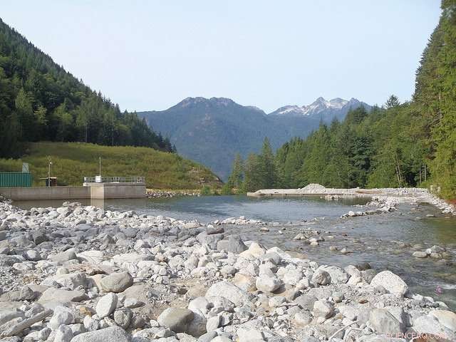 Global Rise of Small Hydroelectric Dams: Why Research and Regulation Lag Behind