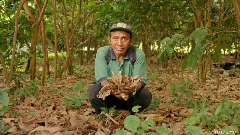Ending Slash‑and‑Burn: Protecting Belize’s Maya Golden Landscape