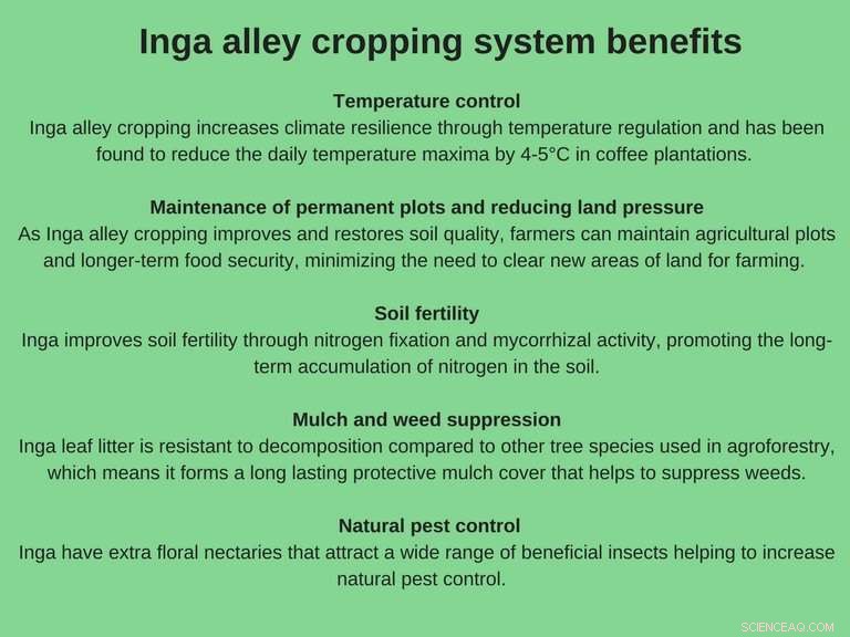 Ending Slash‑and‑Burn: Protecting Belize’s Maya Golden Landscape