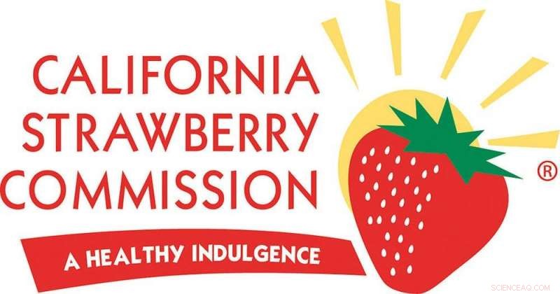 California Strawberries: Tasty Harvest, Troubled Growth – Unveiling Agricultural Contradictions