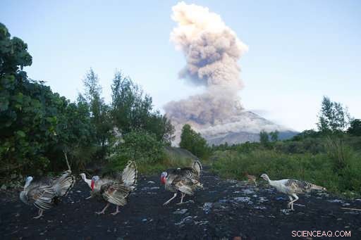 Philippines Prepares for Extended Crisis as Mayon Volcano Erupts