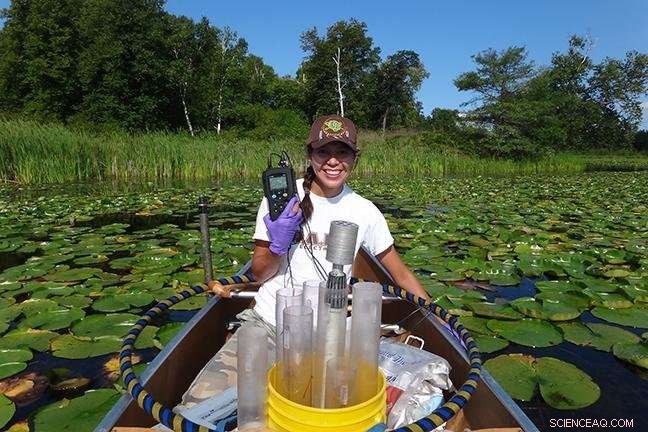 Wild Rice as a Biomarker: Predicting Minnesota Lake and Stream Health