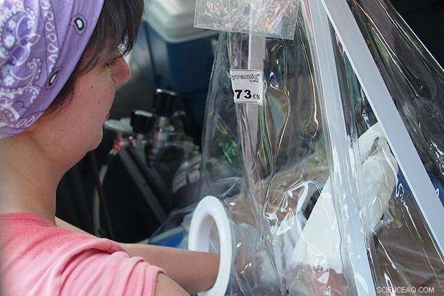 Wild Rice as a Biomarker: Predicting Minnesota Lake and Stream Health