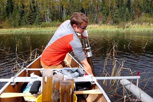 Wild Rice as a Biomarker: Predicting Minnesota Lake and Stream Health